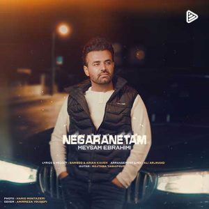 میثم ابراهیمی